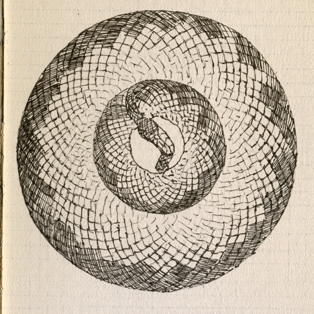 Anaconda
